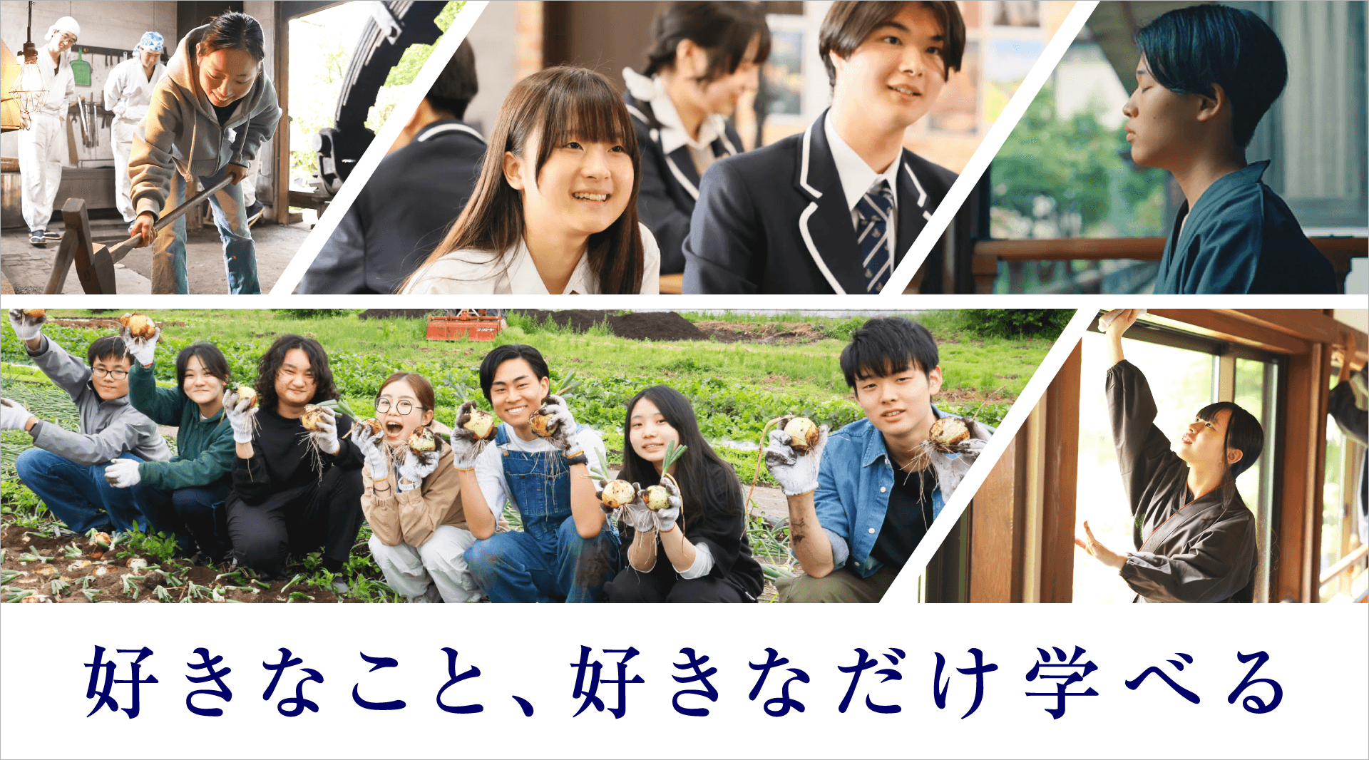 【N高等学校・S高等学校・R高等学校】自分らしさを見つける通...