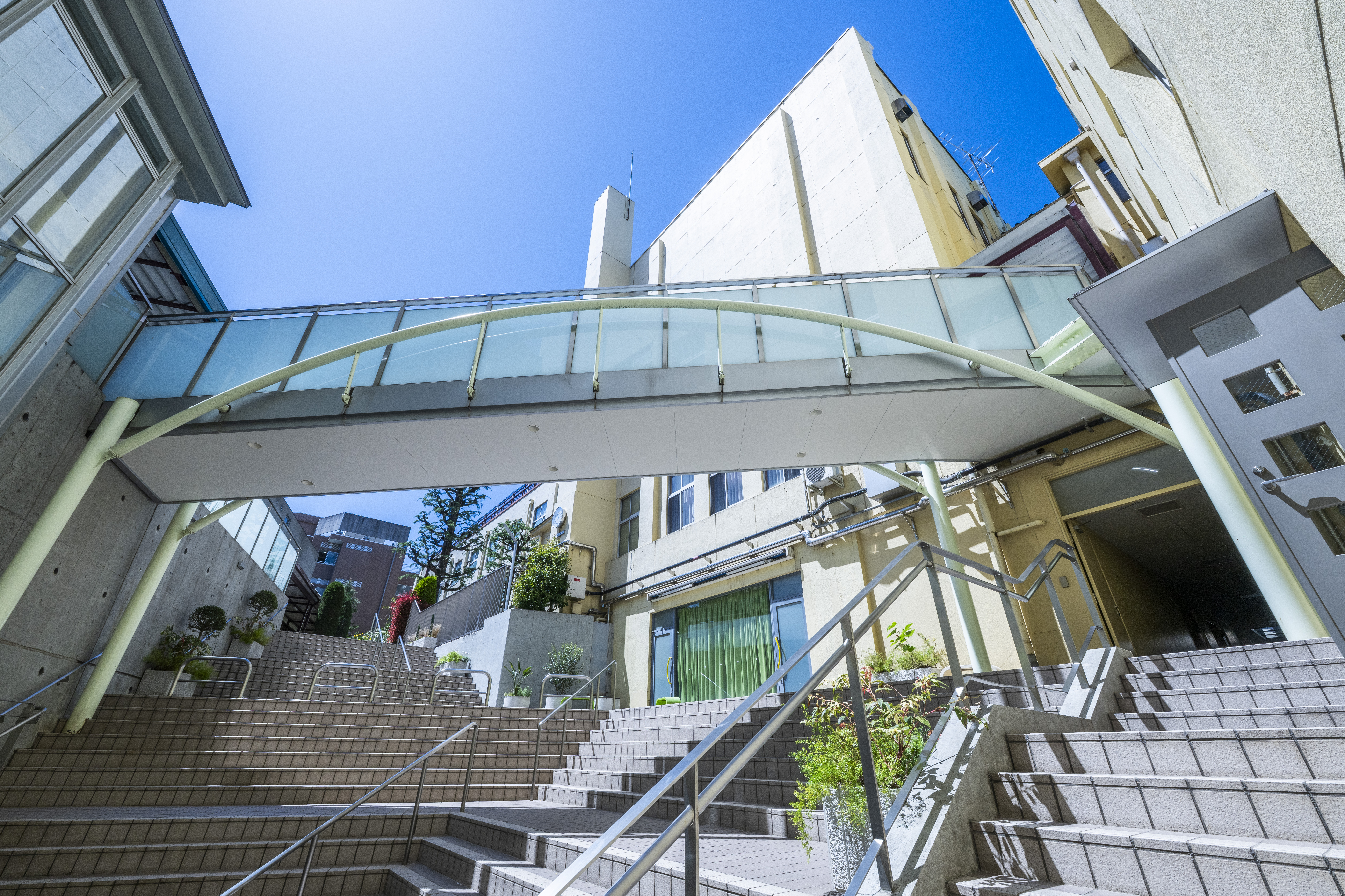 「医学進学コース」を新設し2コース制に【学校法人宝仙学園 順...