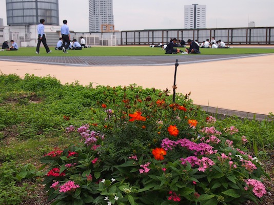 秋の日駒オープンキャンパス