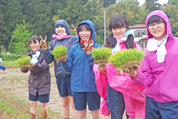 大妻中野中学校_新潟の環境学習（中２）では田植えに挑戦しました。