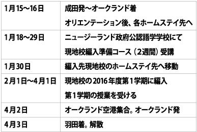 東京成徳深谷_ニュージーランド学期留学