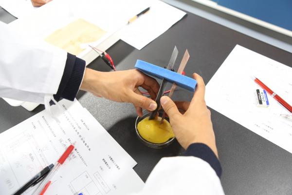 城西大城西_理科_実験