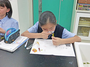 開智日本橋_授業風景2