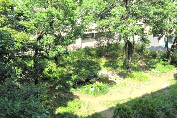 東京家政大学附属_家政ビオトープ
