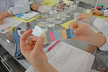 晃華学園_この日の家庭科では靴下に使われている「繊維」について考察しました。