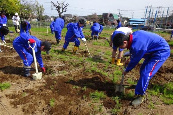 狭山ヶ丘_農作業