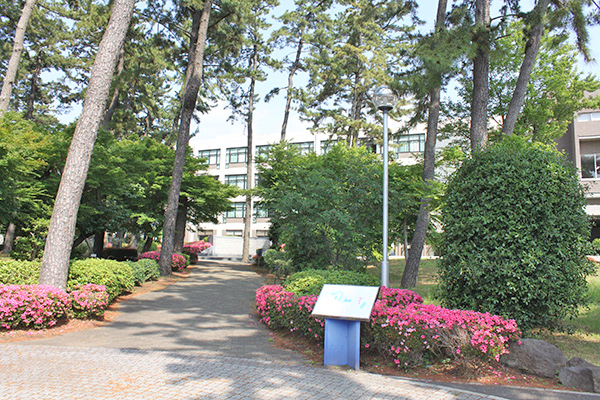 聖セシリア女子中学校_