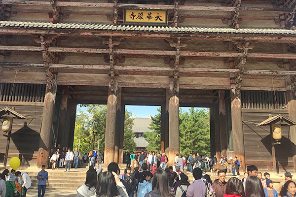 国立音楽_中１で「遠足」、中２で「秋の旅行」、中３で「修学旅行」を実施