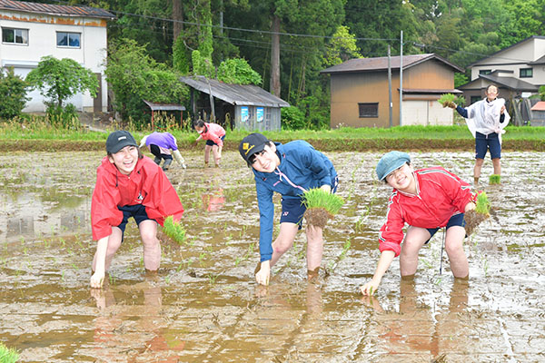大妻中野_こちらは中２の「環境学習旅行」。田植えを体験