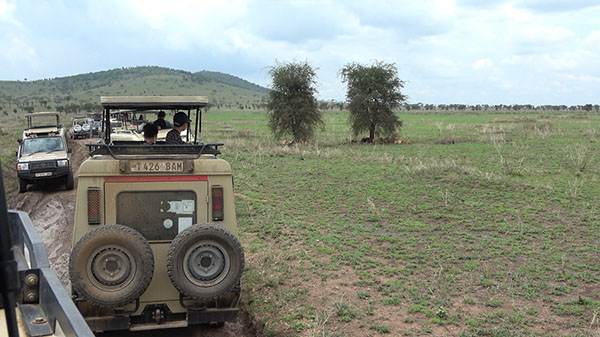 足立学園_アフリカスタディーツアーでの「サファリツアー」