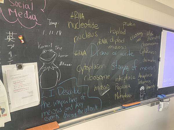 文大杉並_DDの理科や数学は英語で授業が行われる