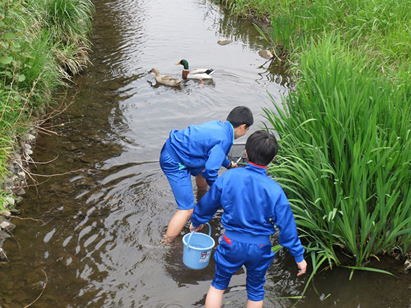 東海大菅生_「エコクラブ」に入りたく入学する生徒まで！