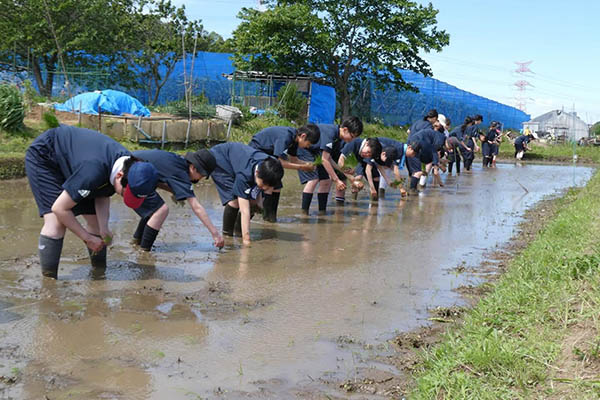 二松学舎柏_田んぼの教室