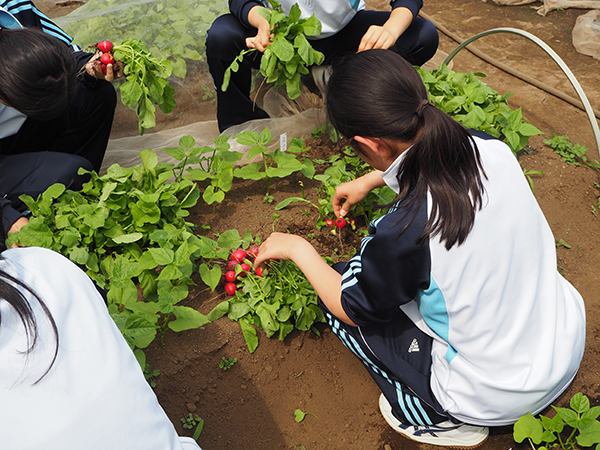 鷗友学園_「園芸」の授業は中１と高１で必修