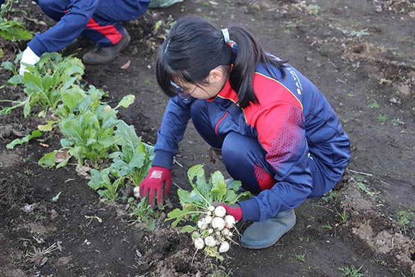 狭山ヶ丘_初めての農作業でも楽しい！