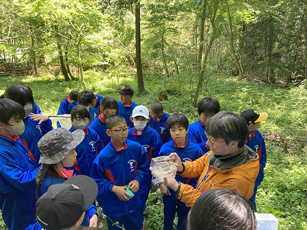 東海大菅生_里山の自然観察を行うフィールドワーク