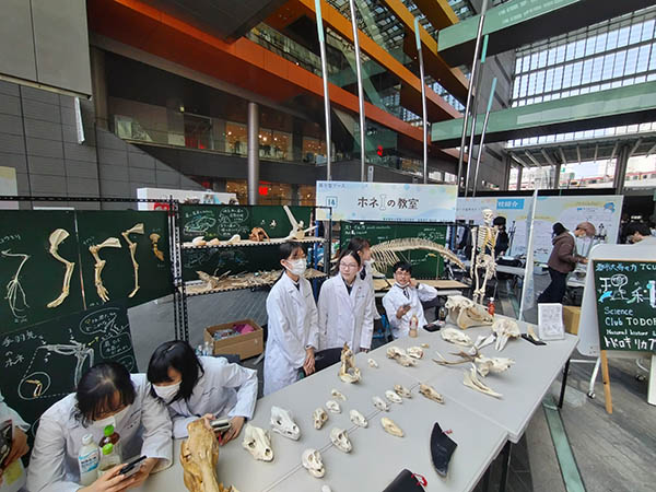 都市大等々力_理科部の活動も活発です。写真は東京都市大学主催の「夢祭」に参加した時のもの