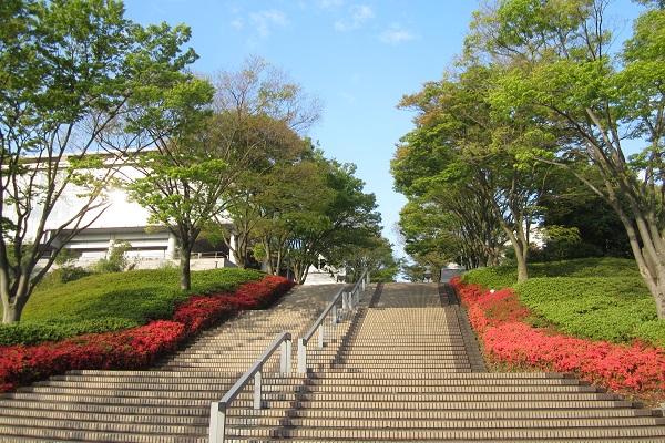 女子校らしいキャンパス入口には美しいツツジが