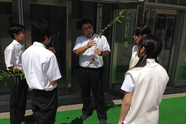 実験・観察重視の山下先生